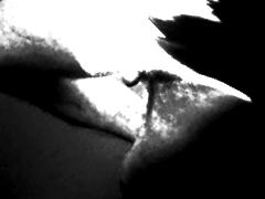 ink by zb