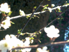 photo zb