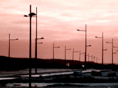 streetlamps' flowers, photo by zb