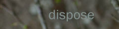 dispose