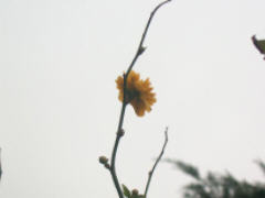 image by zb