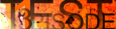 stw netlabel issue 013