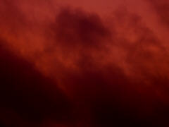 photo by zb
