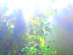 photo by zb