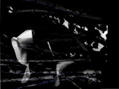 image by zb