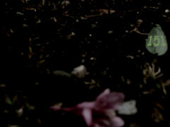 photo zb