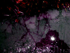 photo by zb