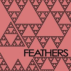 Hunter's Moon by Feathers