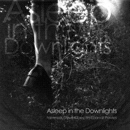 Asleep in the Downlights by Hammock, Steve Kilbey and timEbandit Powles